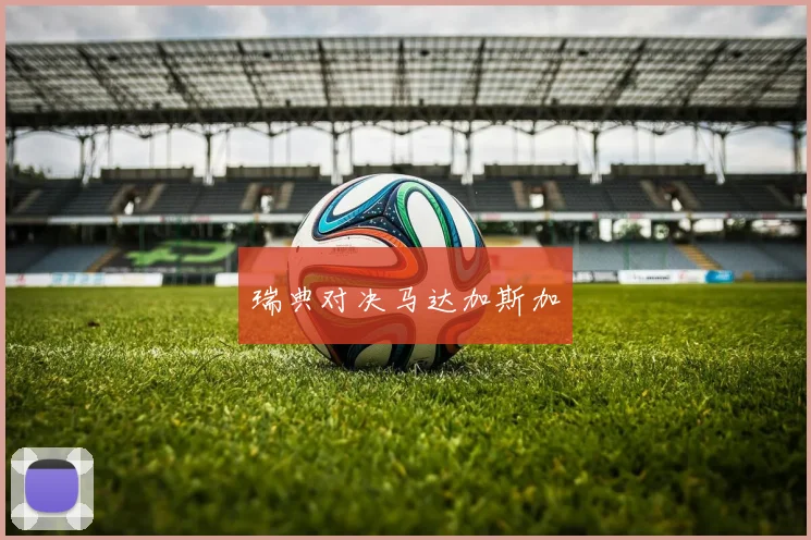 瑞典对决马达加斯加
