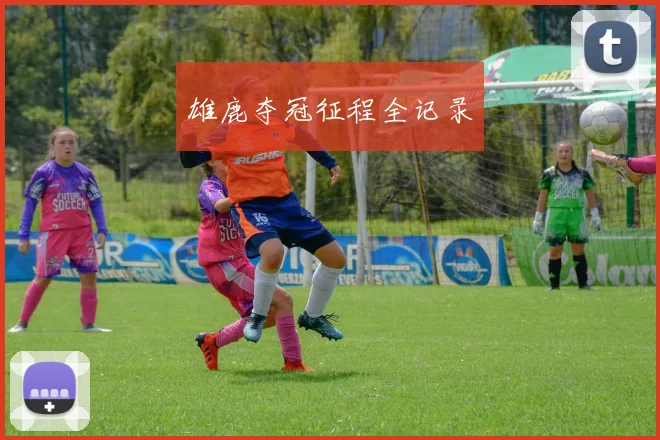 雄鹿夺冠征程全记录
