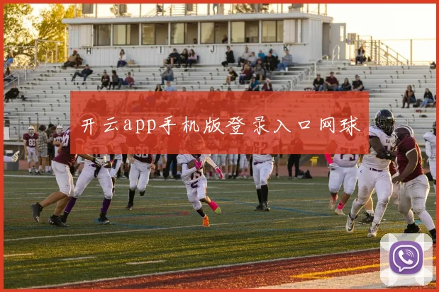 开云app手机版登录入口网球