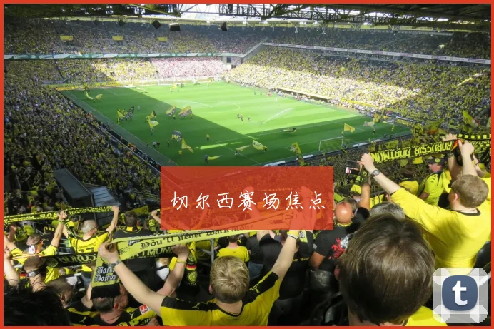 切尔西赛场焦点