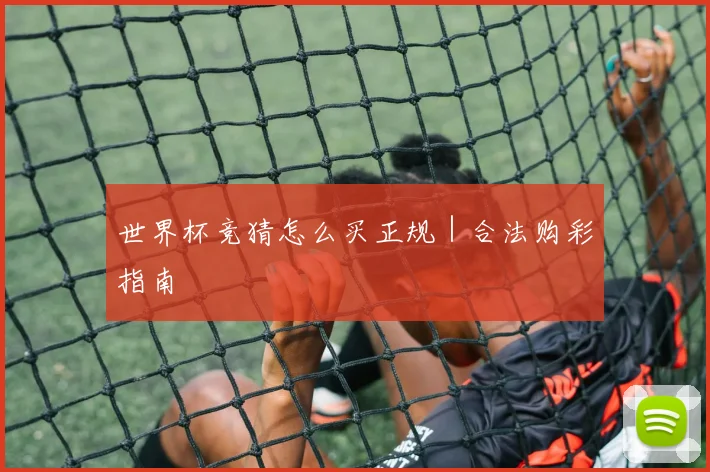 世界杯竞猜怎么买正规｜合法购彩指南