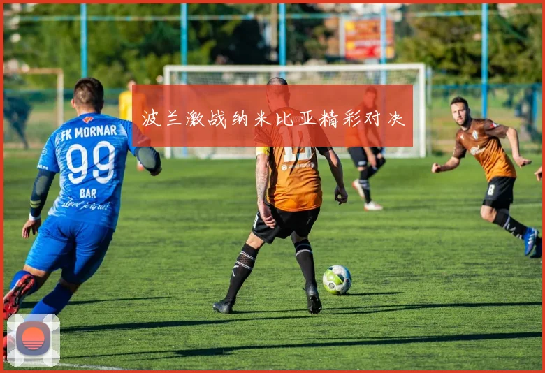 波兰激战纳米比亚精彩对决