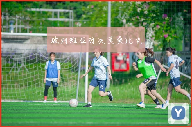玻利维亚对决莫桑比克