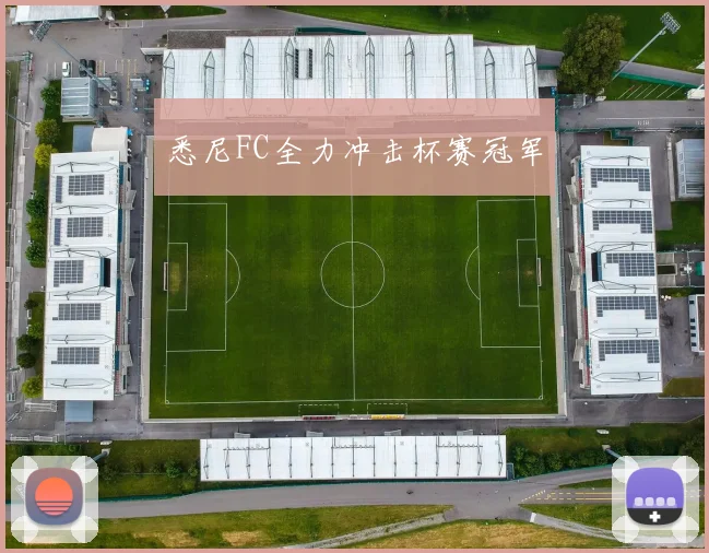 悉尼FC全力冲击杯赛冠军