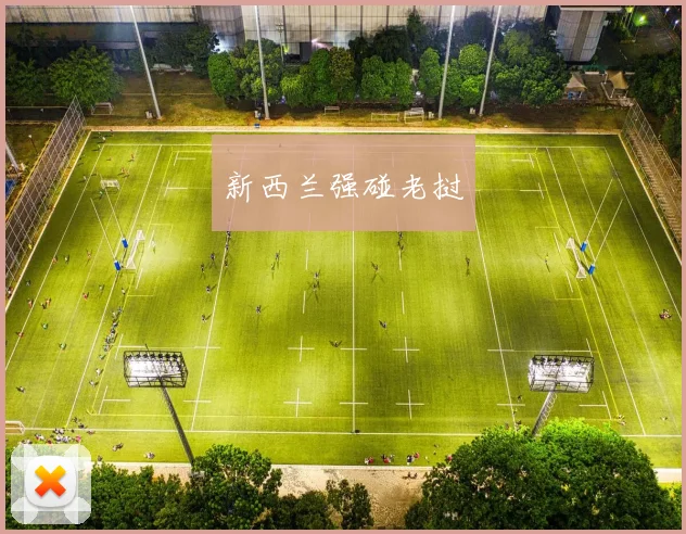 新西兰强碰老挝