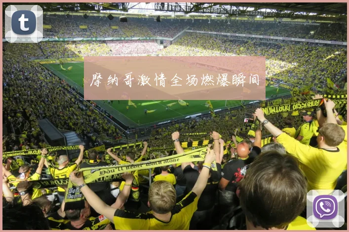 摩纳哥激情全场燃爆瞬间