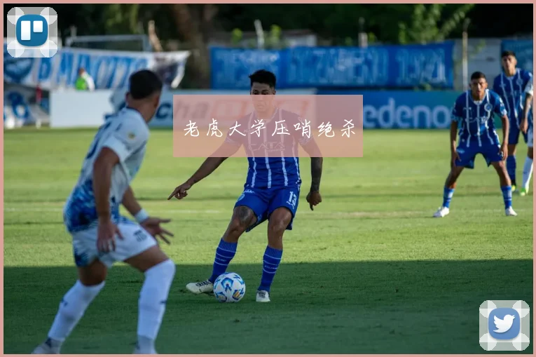 老虎大学压哨绝杀