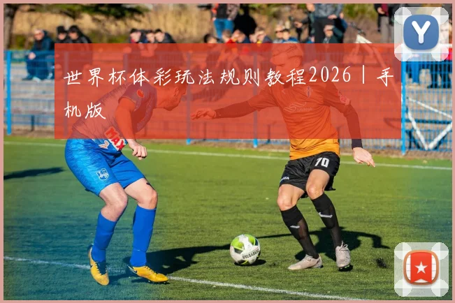 世界杯体彩玩法规则教程2026｜手机版