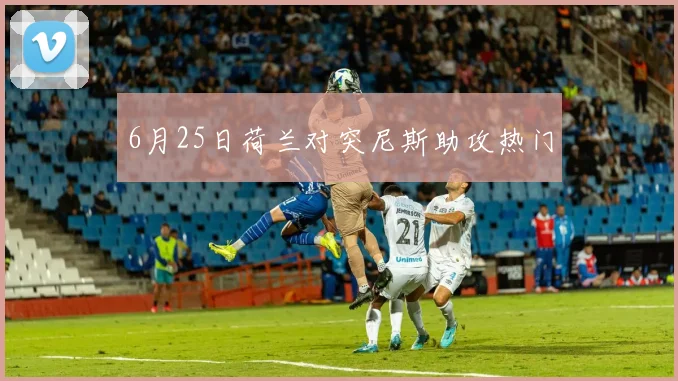 6月25日荷兰对突尼斯助攻热门