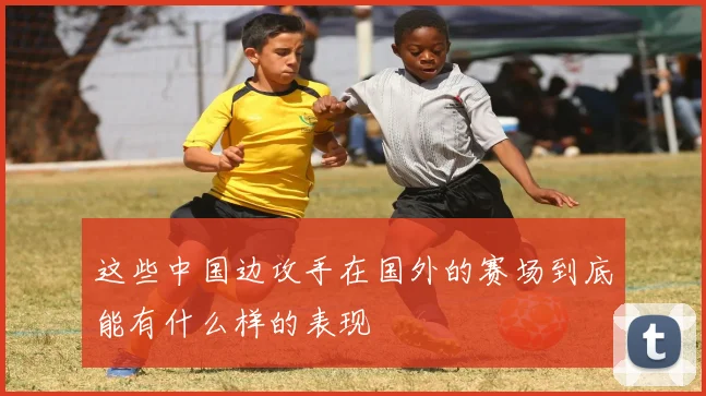 这些中国边攻手在国外的赛场到底能有什么样的表现