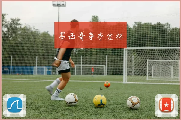墨西哥争夺金杯