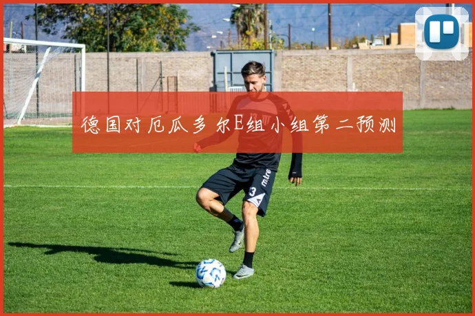 德国对厄瓜多尔E组小组第二预测