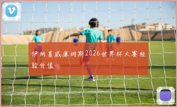 伊纳基威廉姆斯2026世界杯大赛经验价值