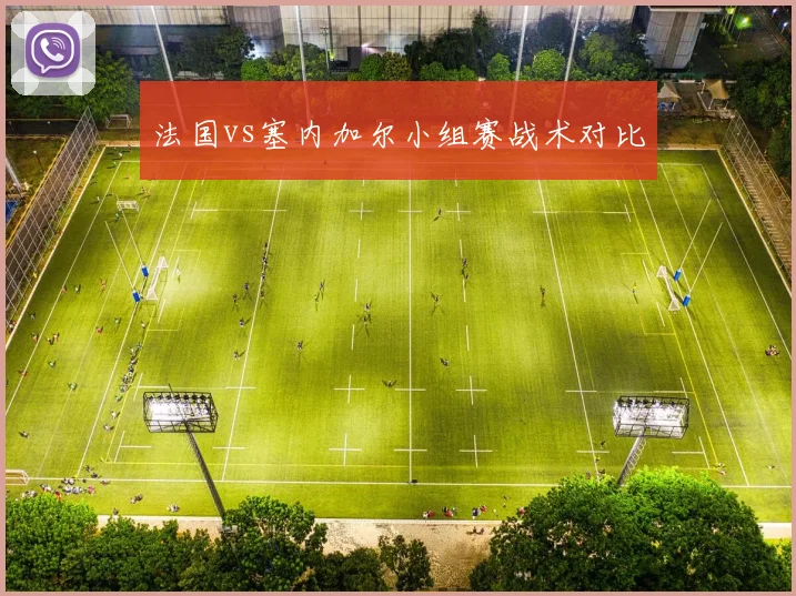 法国vs塞内加尔小组赛战术对比
