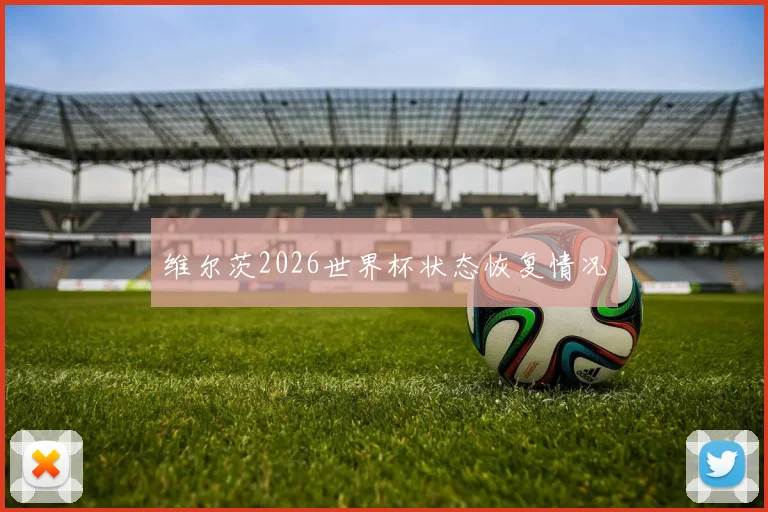 维尔茨2026世界杯状态恢复情况