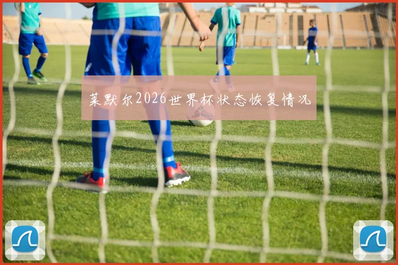 莱默尔2026世界杯状态恢复情况