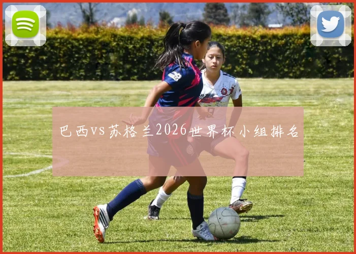 巴西vs苏格兰2026世界杯小组排名