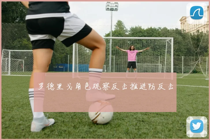 罗德里戈角色观察反击推进防反击